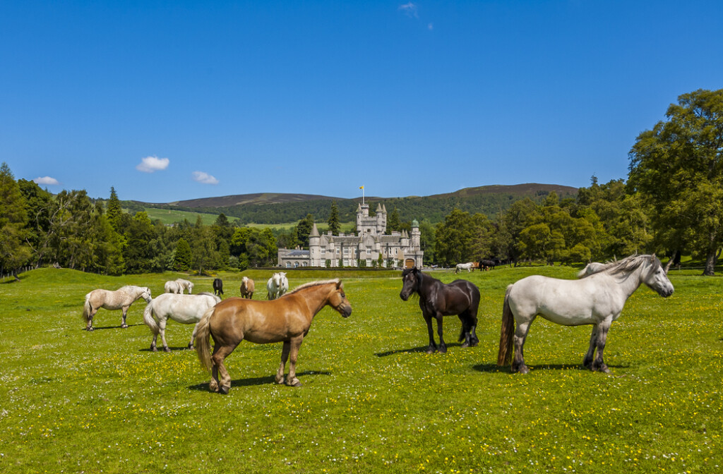 Balmoral - 2