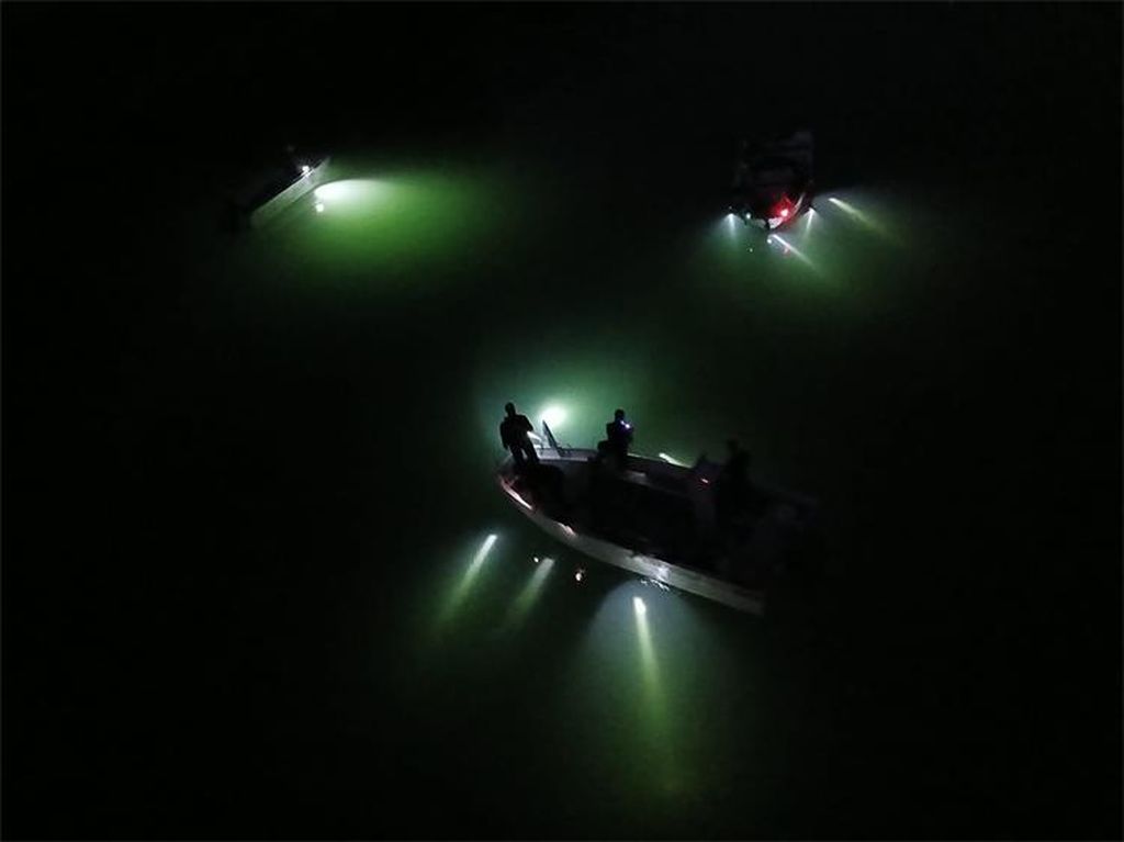 Potraga za nestalim muškarcem - 4