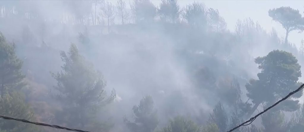 Vatrogasci i dalje na požarištu - 1