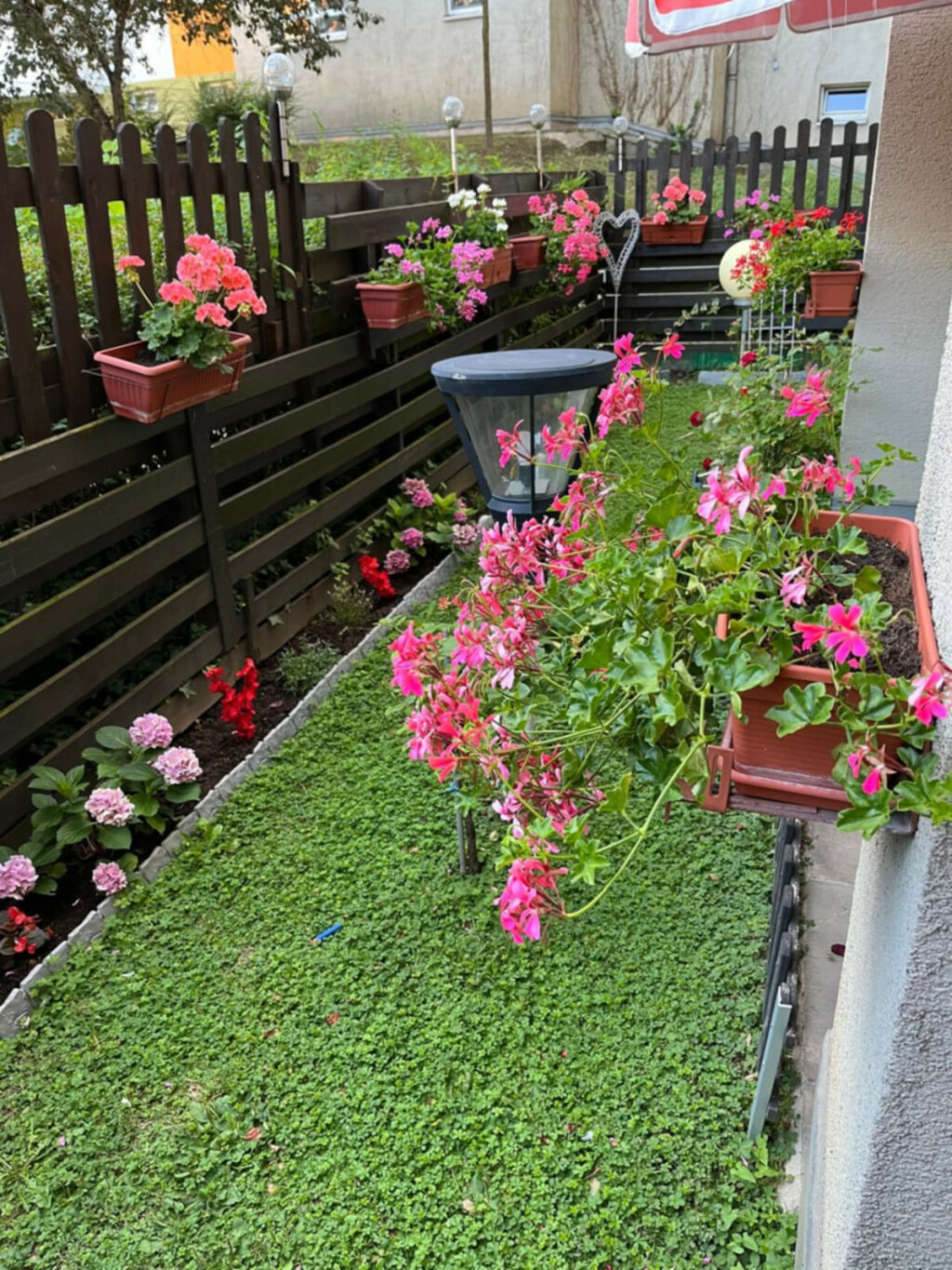 Vrt Nataše Marinković izgleda poput male oaze sreće - 8