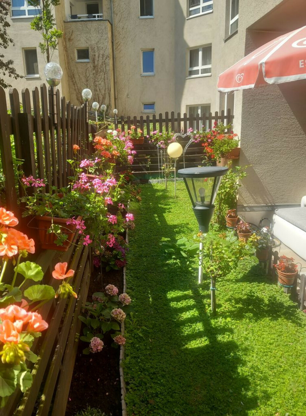 Vrt Nataše Marinković izgleda poput male oaze sreće - 9