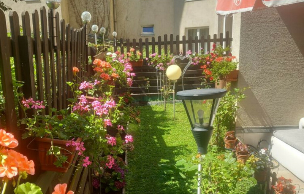 Vrt Nataše Marinković izgleda poput male oaze sreće - 10