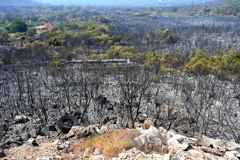 Požar u Crnoj Gori - 3