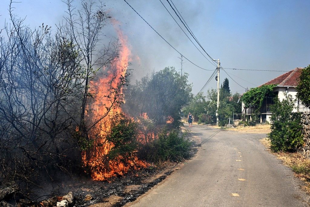 Požar u Crnoj Gori - 3