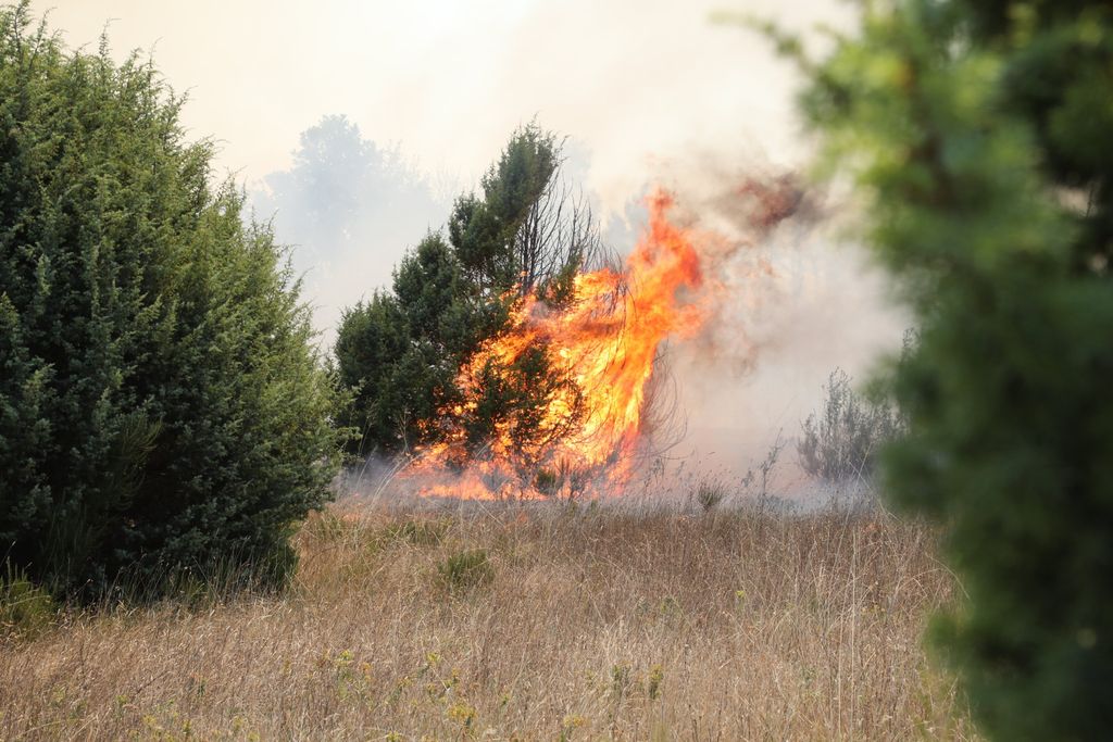 Požar iznad uvale Blaz - 3