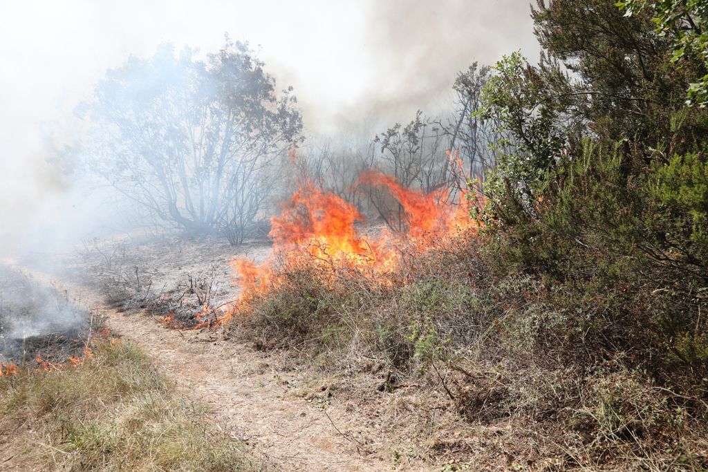 Požar iznad uvale Blaz - 3