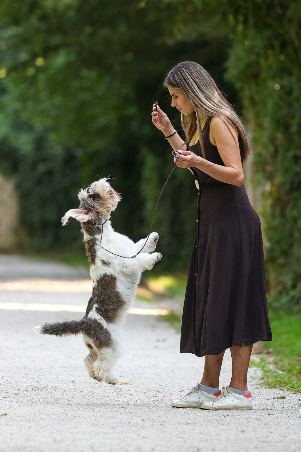 Hrvatska kujica Meghan proglašena najljepšim psom na svijetu - 5