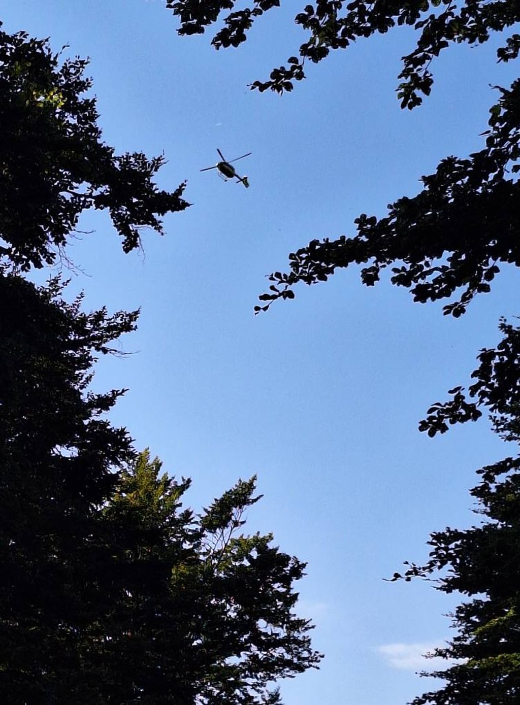 Akcija spašavanja na Velebitu