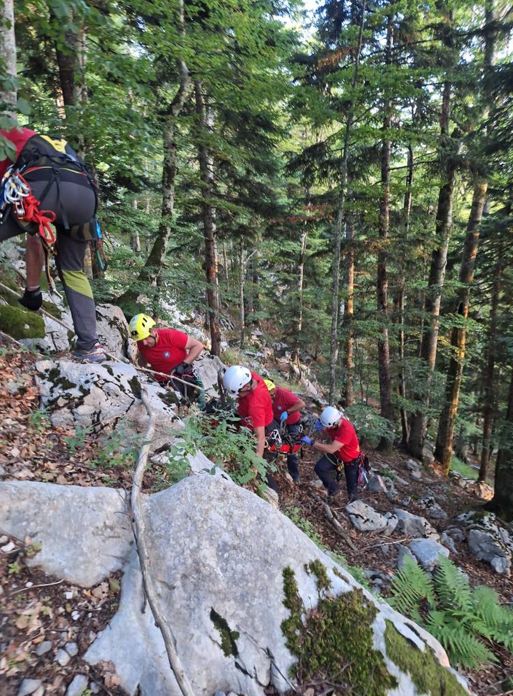 Akcija spašavanja na Velebitu