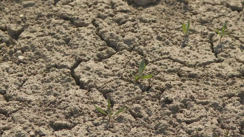 Grafički prikaz utjecaja globalnog zatopljenja na Hrvatsku - 3