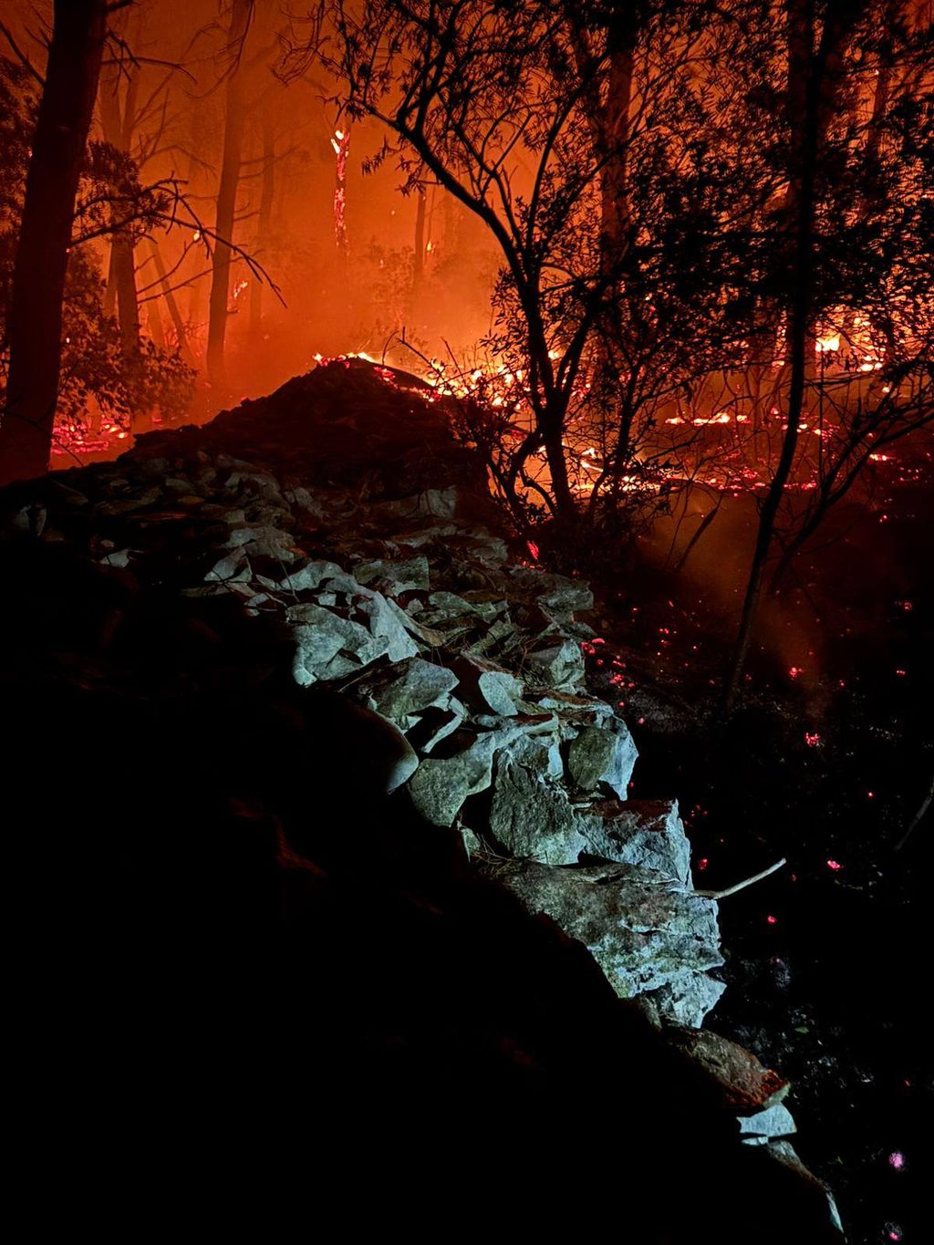 Požar na Braču - 1