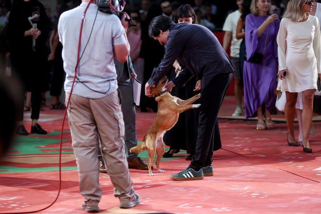Pas Lija na Sarajevo Film Festivalu - 4