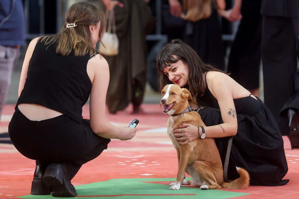Pas Lija na Sarajevo Film Festivalu - 7
