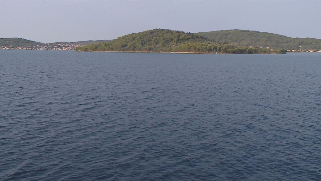 Pobuna na Ošljaku - 5