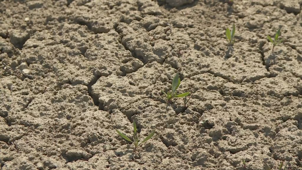 Promjena vremena - 1