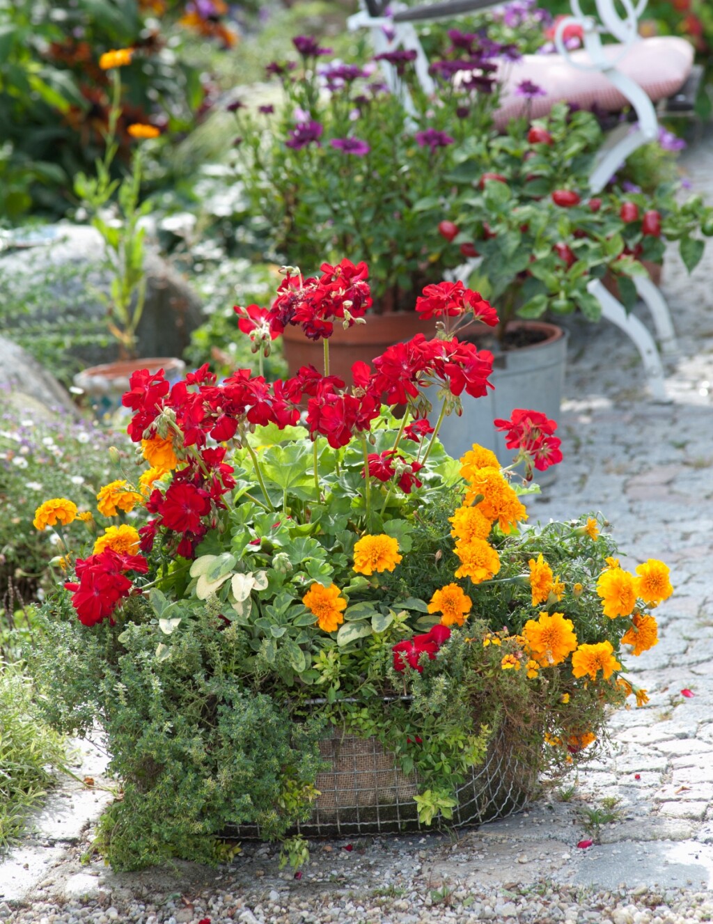 Uz malo pažnje imat ćete divne biljke i cijele jeseni