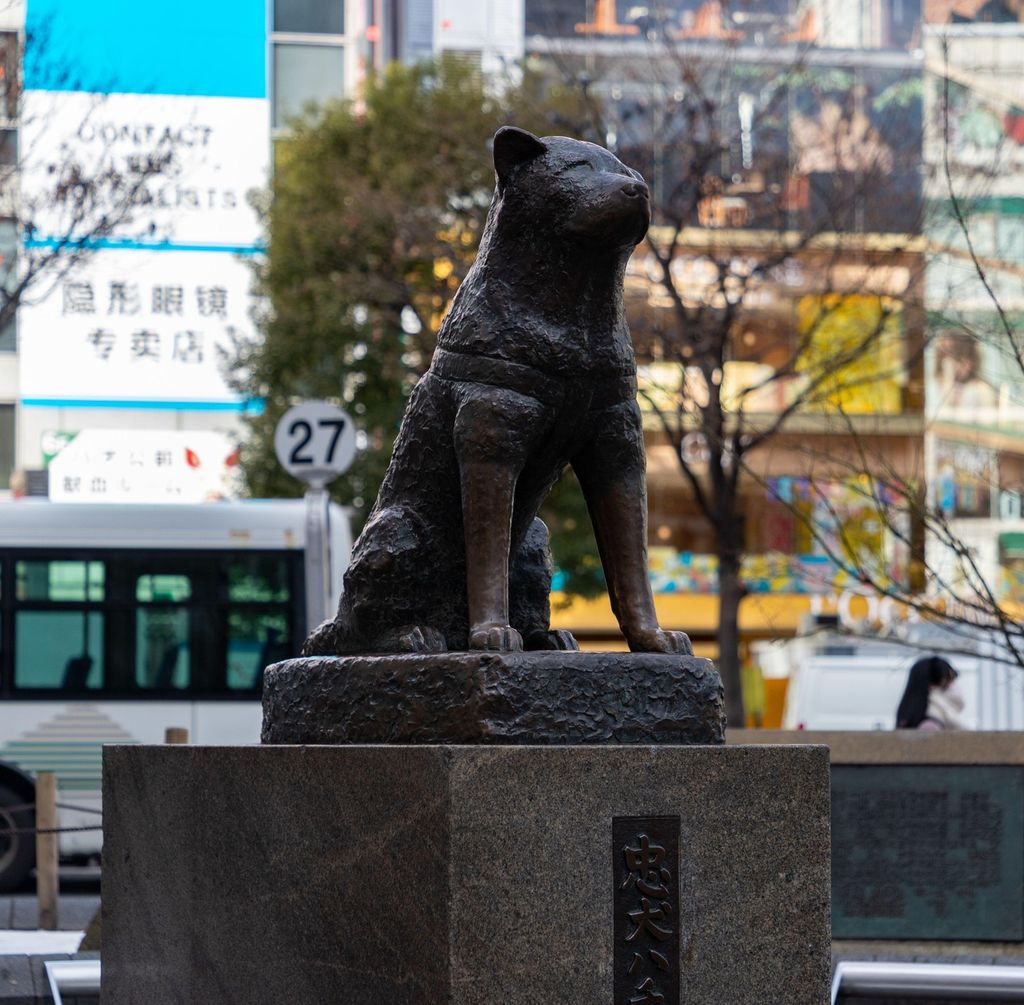 Hachiko - 5