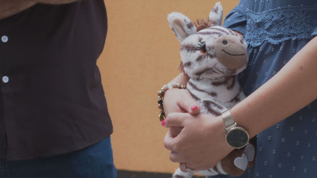 Vrtić u Slavoniji - 4