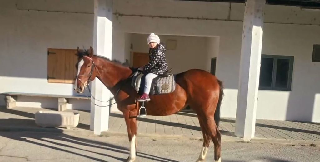 In Magazin: Alkarica Katarina - 4