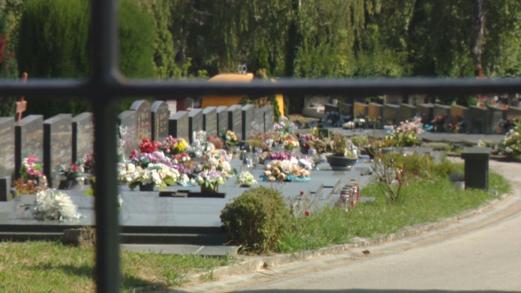 Nedostaje grobara - 1