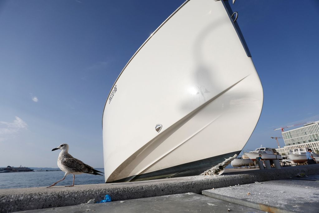 Gliser se zabio u obalu - 11