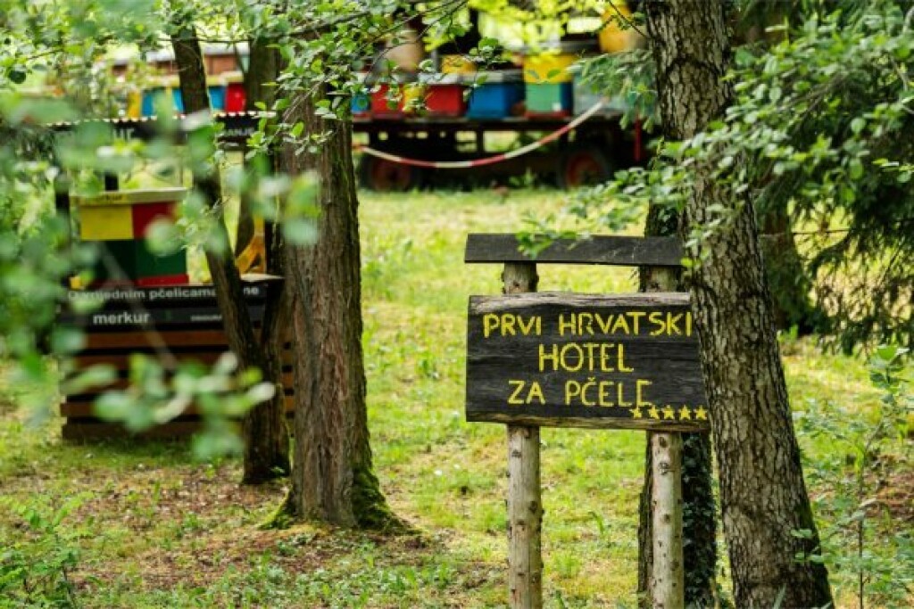 Pr