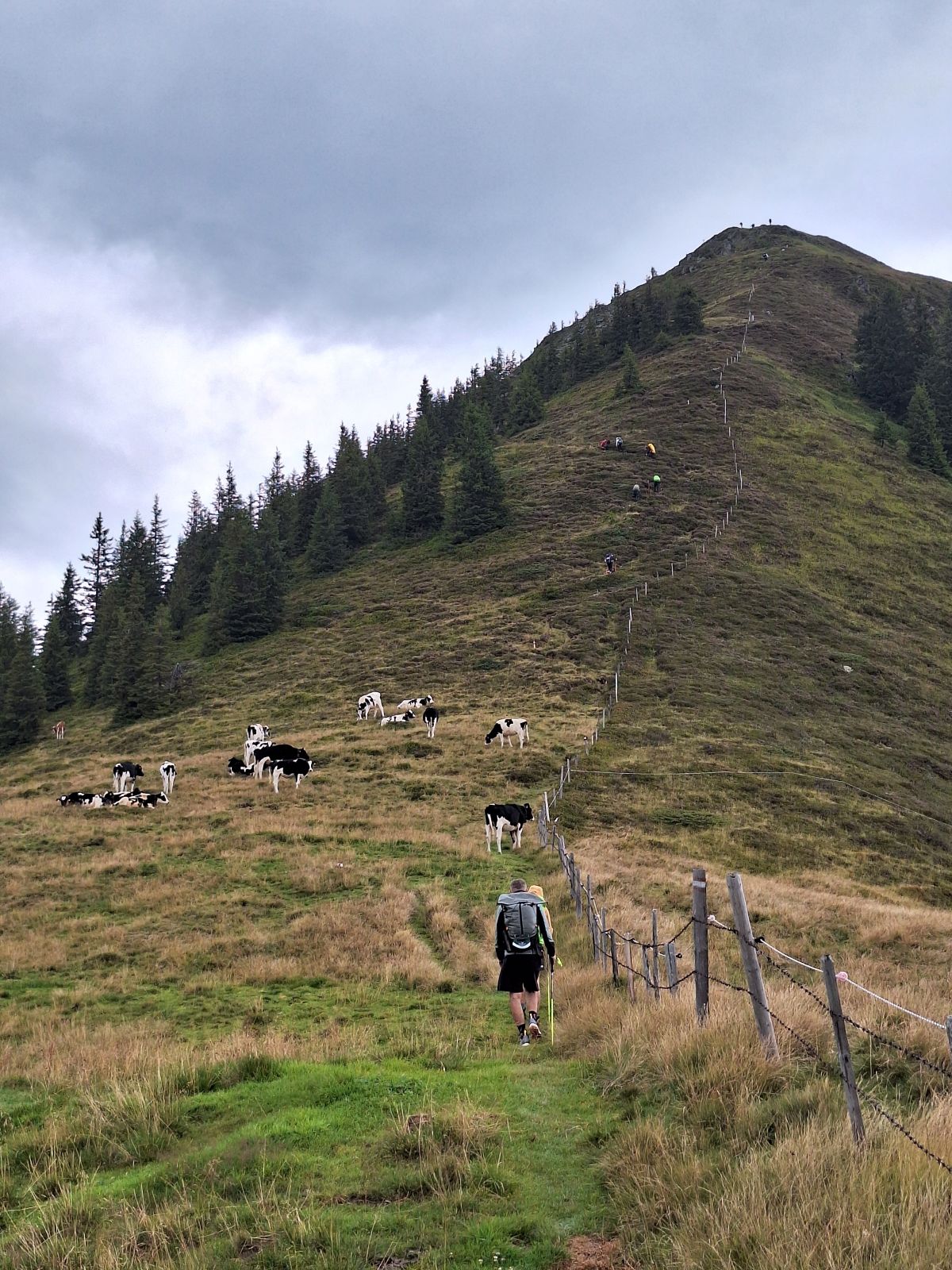 Highlander Austria - 11