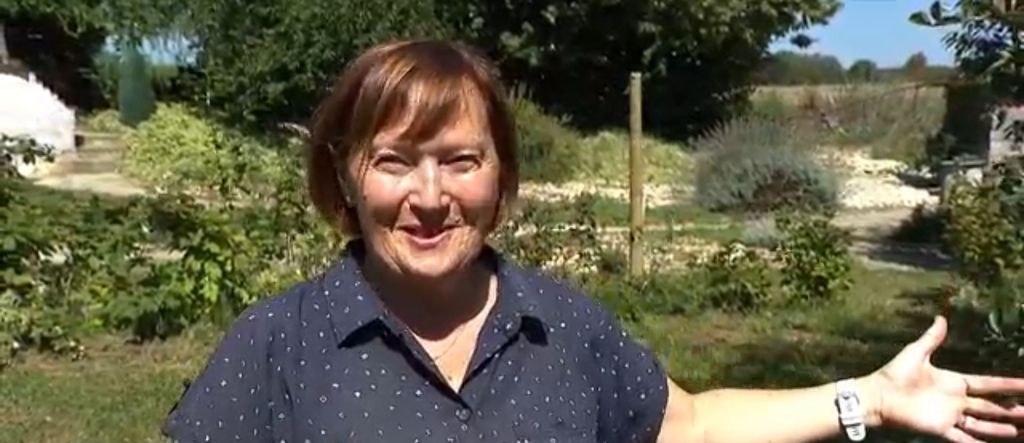 Problemi s dabrovima - 3