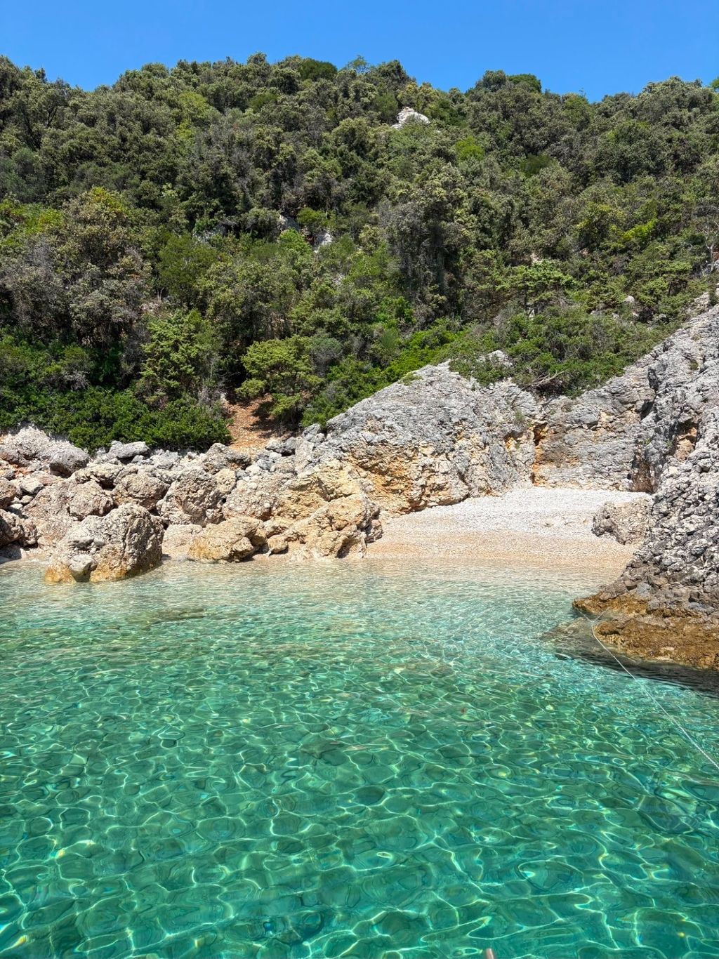Otok Zeča