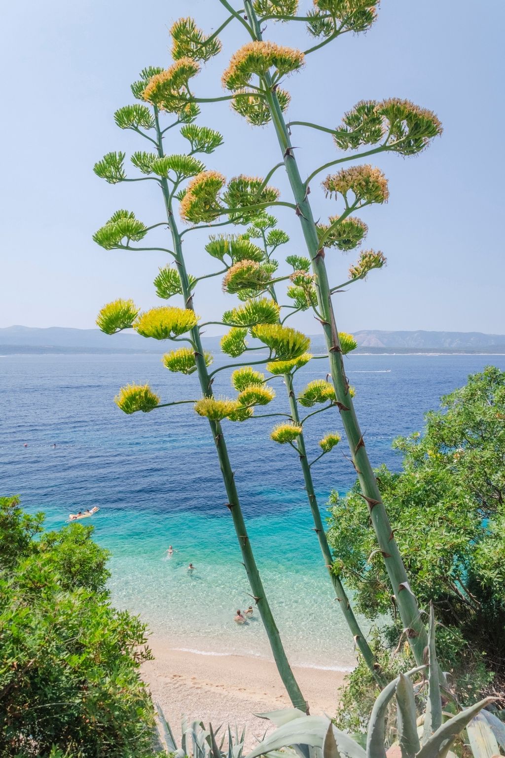 Plaža Murvica