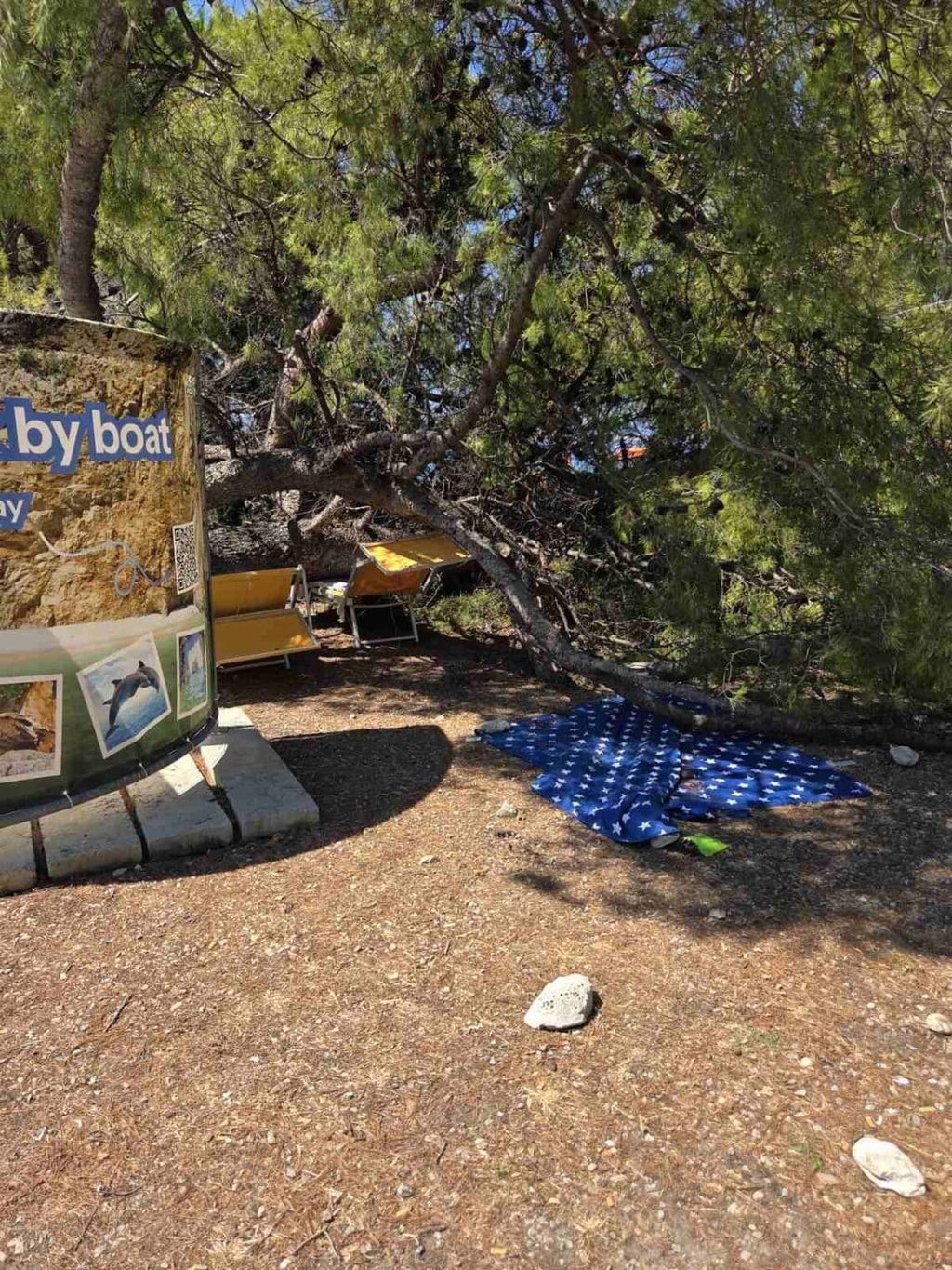 Stablo se srušilo na plažu - 5