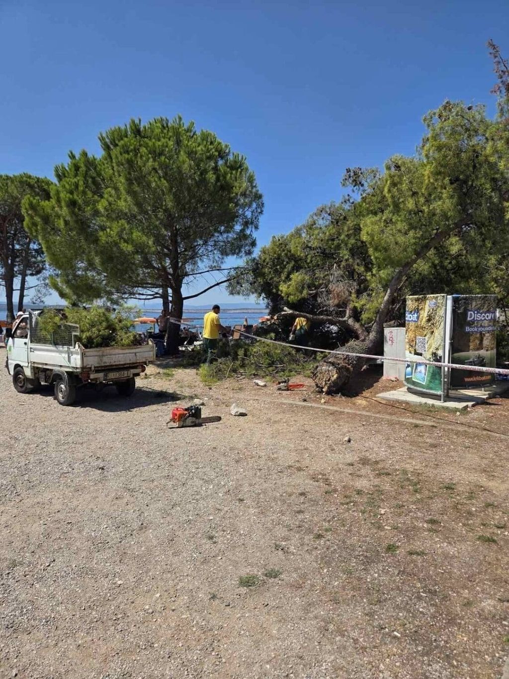 Stablo se srušilo na plažu - 5