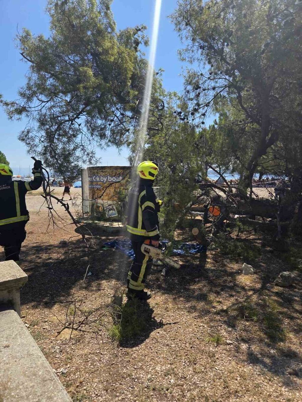 Stablo se srušilo na plažu - 5