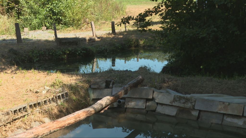 Suša u Slavoniji - 3