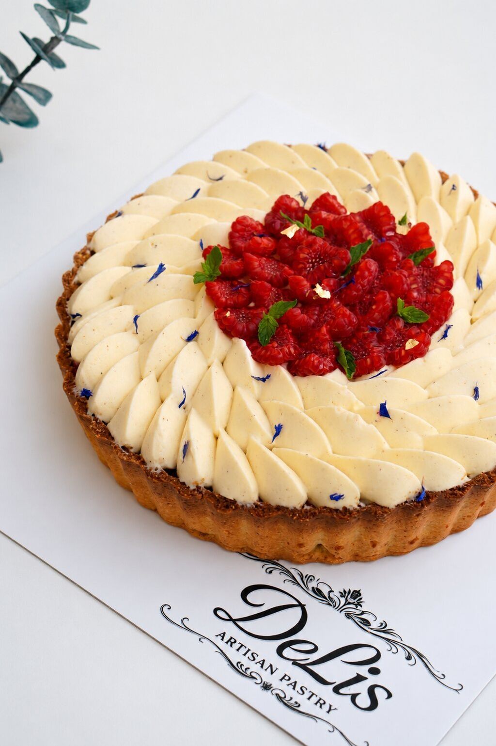 Cheesecake s malinama