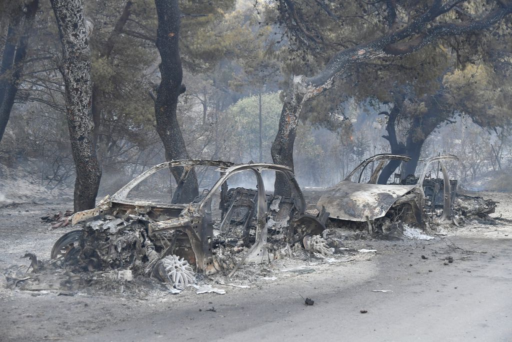 Prizori s požarišta u petak - 15