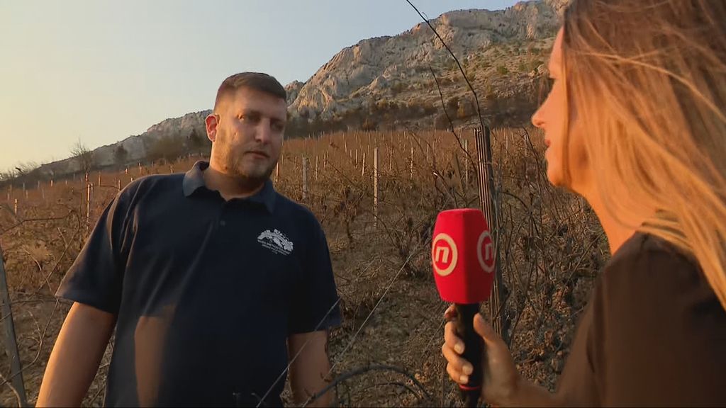 Marko Mimica, vinar
