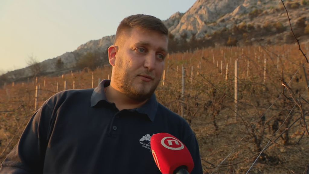 Marko Mimica, vinar