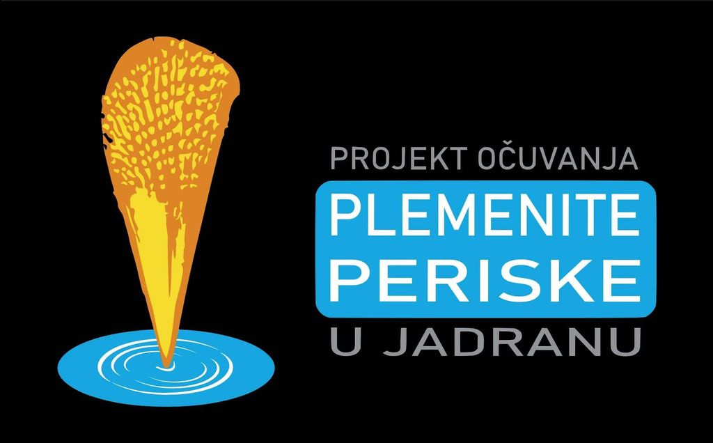 Periske - 3