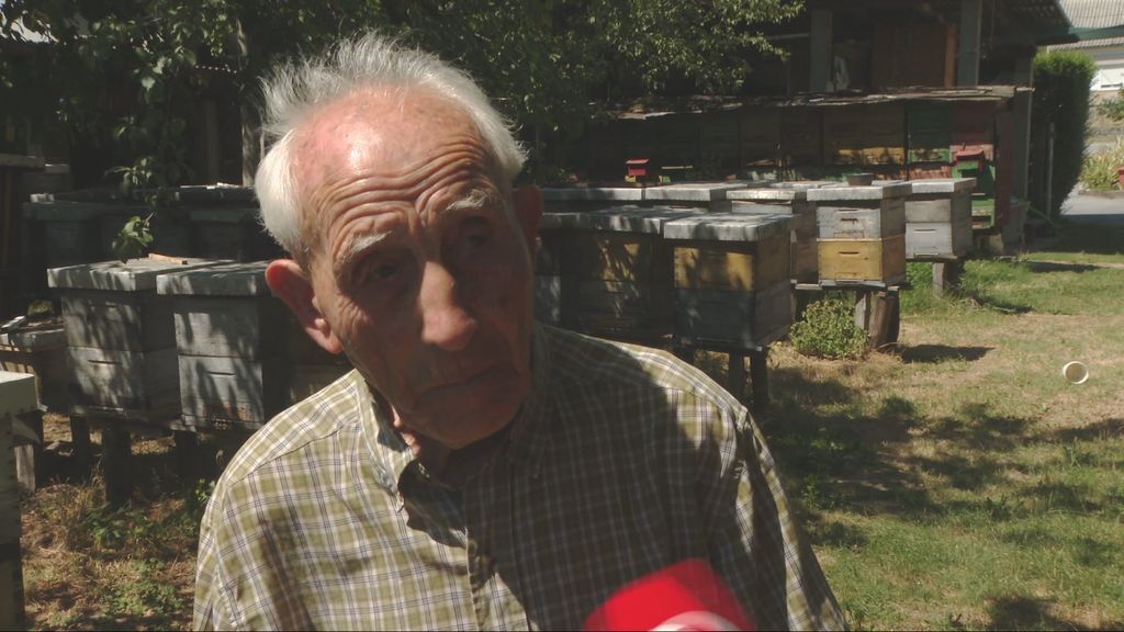 Stjepan Okrugić, pčelar