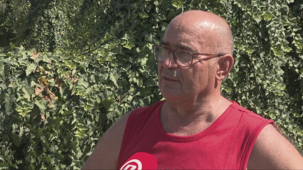 Stjepan Okrugić, pčelar