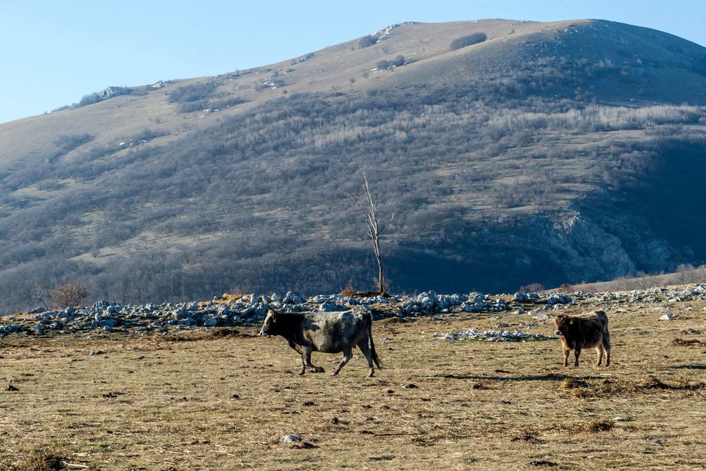 Teren u Visuću kraj Udbine