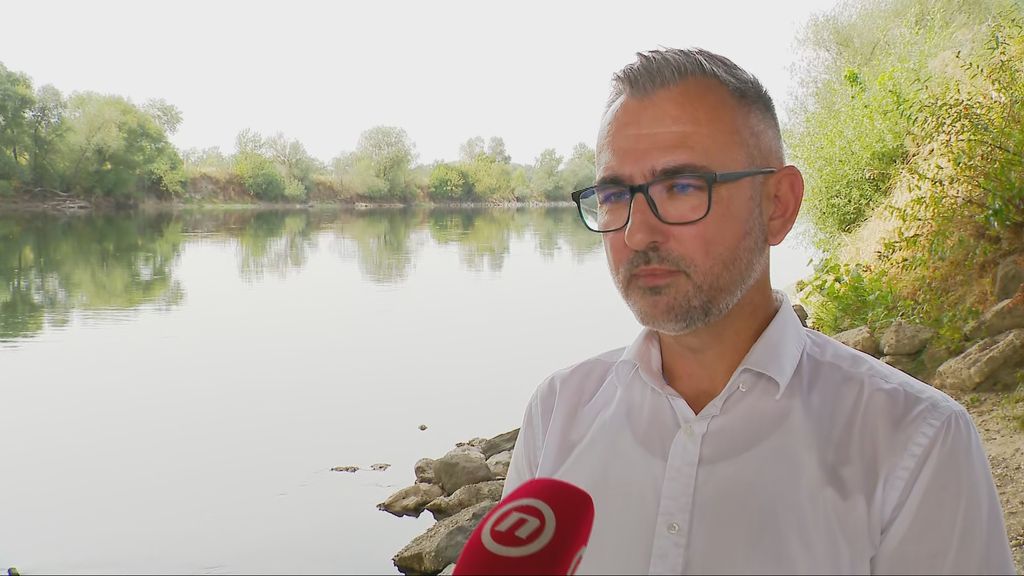 Pomor ribe u Savi