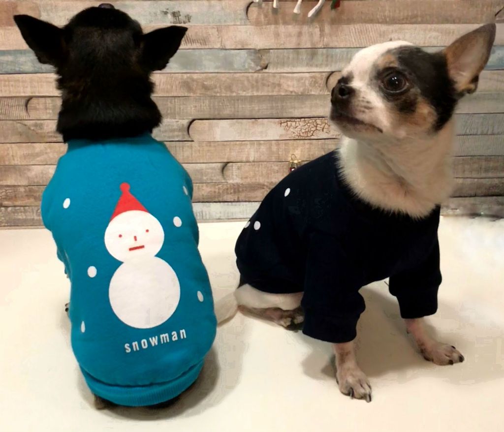 Jaknice za psiće u plavoj i crnoj boji (Foto: Zadovoljna.hr)