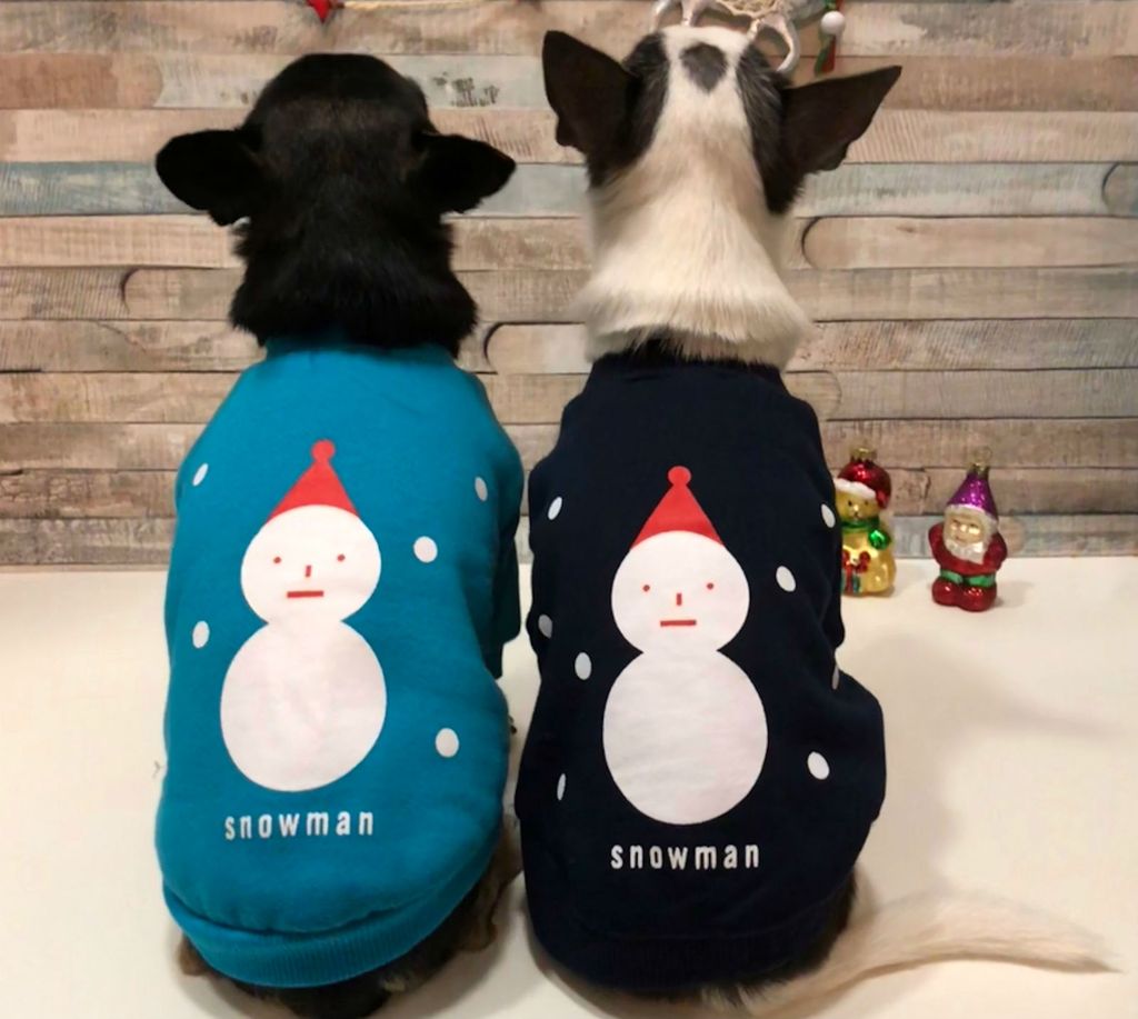 Jaknice za psiće (Foto: Zadovoljna.hr)