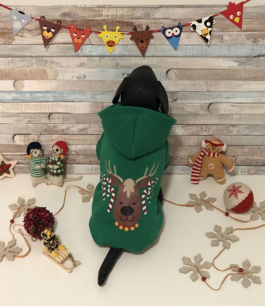 Prigodna jaknica s motivom soba (Foto: Zadovoljna.hr)