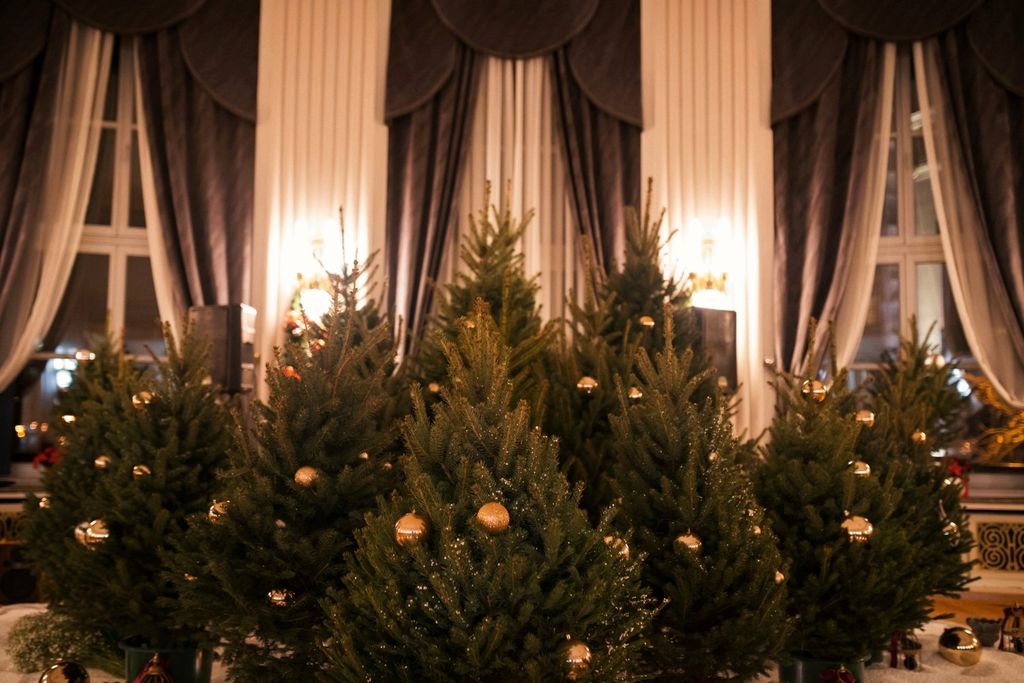 Ukrašeni borovi za blagdansku večeru Ivana Alduka (Foto: Sarah&Ino)