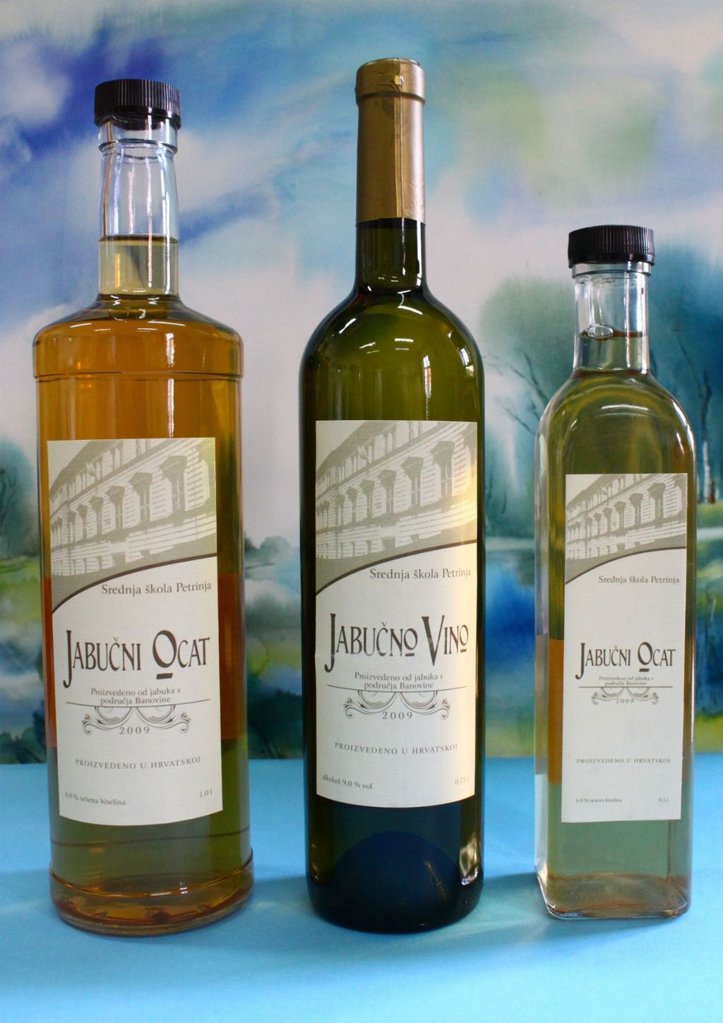 Proizvodi Srednje škole Petrinja - 4