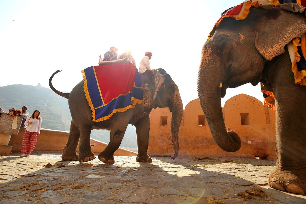 Jahanje na slonovima
