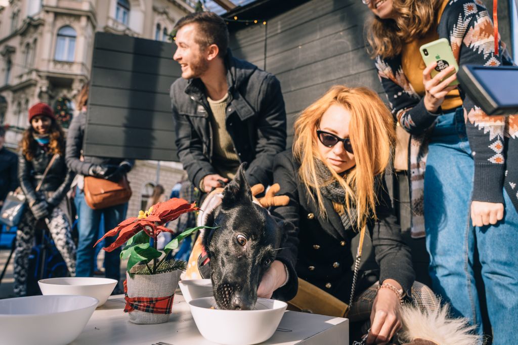 Capa Pet Bistro na Fuliranju - 9